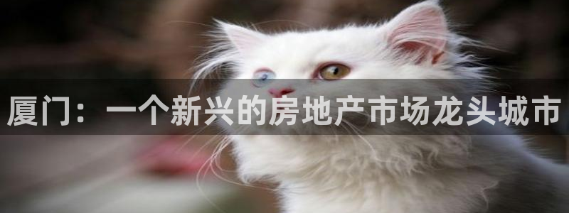 摩登7登录睡333OO：厦门：一个新兴的房地产市场龙头城市