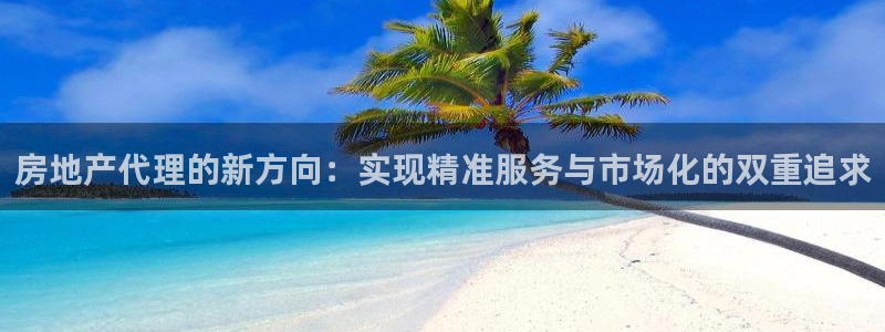 摩登7平台登录：房地产代理的新方向：实现精准服务与市场化的双