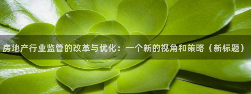 摩登7平台下载：房地产行业监管的改革与优化：一个新的视角和策