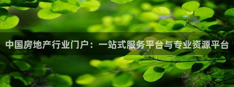 摩登7登录博333OO：中国房地产行业门户：一站式服务平台与