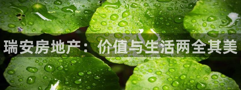 摩登7重工摩登：瑞安房地产：价值与生活两全其美