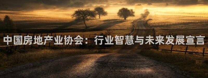摩登7是什么：中国房地产业协会：行业智慧与未来发展宣言