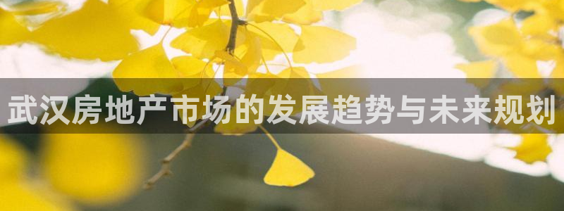 摩登18 7：武汉房地产市场的发展趋势与未来规划