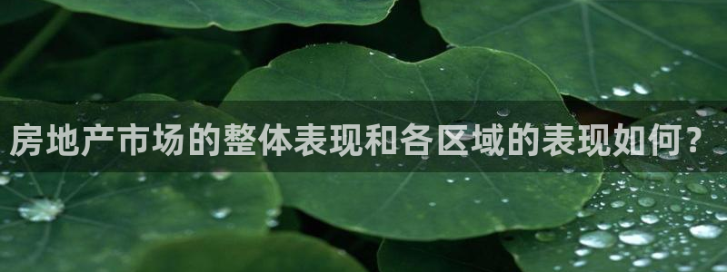 摩登7注册亲333OO：房地产市场的整体表现和各区域的表现如