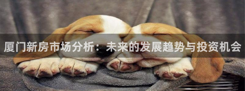 摩登平台视7O777：厦门新房市场分析：未来的发展趋势与投资