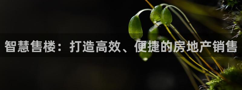摩登7招商主管：智慧售楼：打造高效、便捷的房地产销售