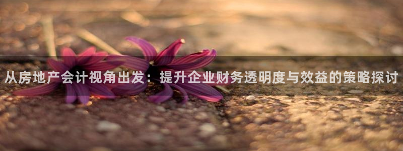 摩登7注册页面：从房地产会计视角出发：提升企业财务透明度与效