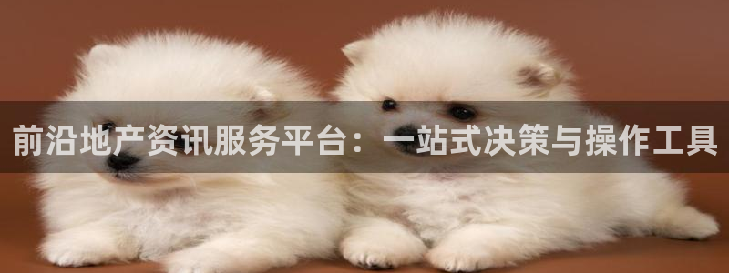 摩登7去3299O7：前沿地产资讯服务平台：一站式决策与操作