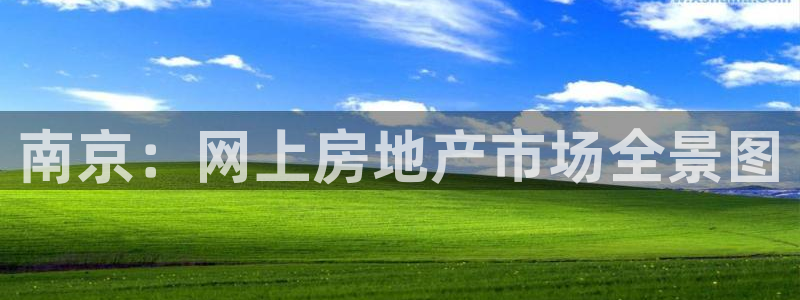 摩登7黑钱：南京：网上房地产市场全景图