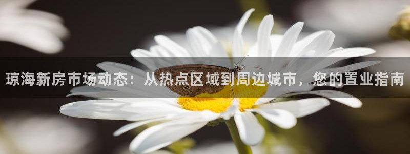 摩登7登录付333OO：琼海新房市场动态：从热点区域到周边城