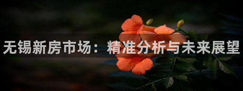 摩登6地7O667：无锡新房市场：精准分析与未来展望