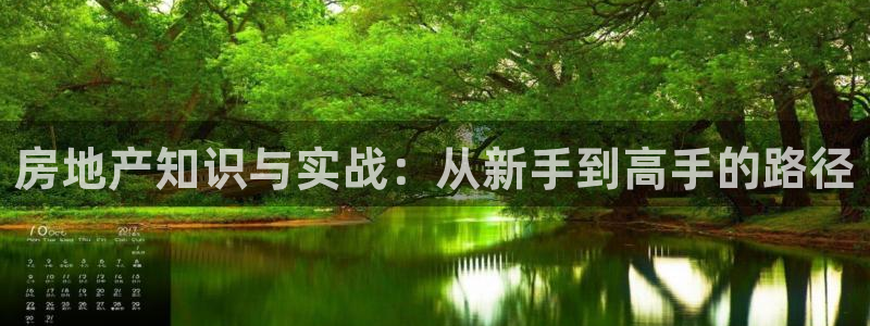 摩登6下7O667：房地产知识与实战：从新手到高手的路径